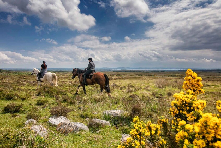Two people riding horses across a grassy field with yellow flowers and rocks. 4