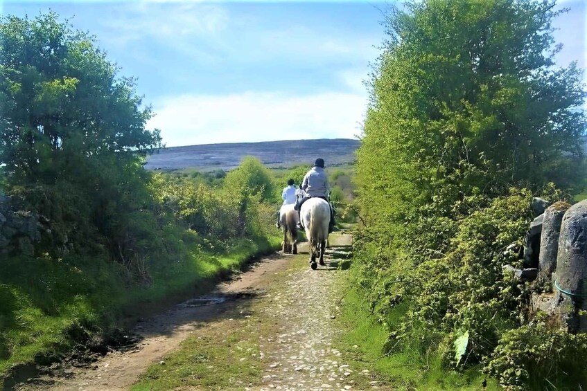 Two people riding horses on a narrow dirt path surrounded by greenery. 2