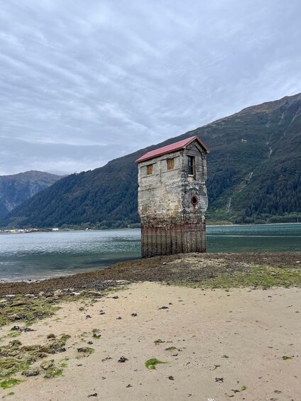 Picture 3 for Activity Juneau: Treadwell City Ruins Guided Walking Tour 5