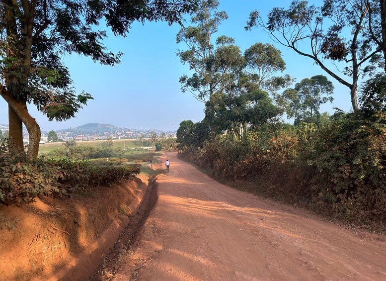 A dirt road flanked by trees and vegetation, leading towards a distant town. 5
