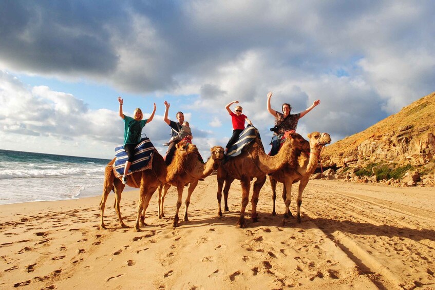 Picture 2 for Activity Tangier Shore Excursion | Kasbah, Caves & Cap Spartel Tour 3