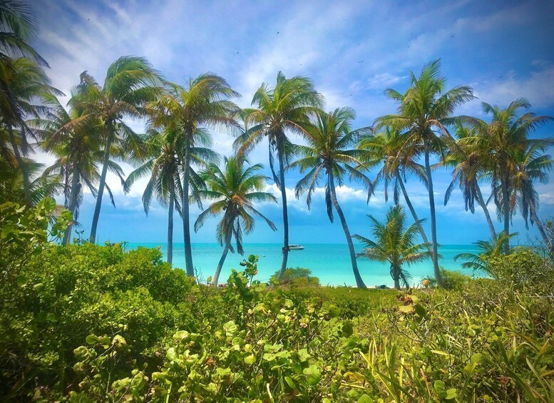 Picture 3 for Activity PARADISE ISLAND- ISLA CONTOY AND ISLA MUJERES 4