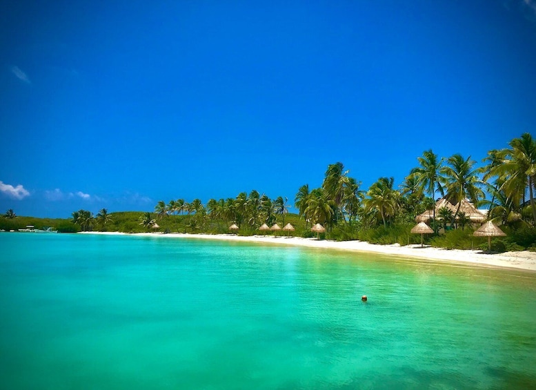 PARADISE ISLAND- ISLA CONTOY AND ISLA MUJERES 1