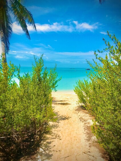 Picture 4 for Activity PARADISE ISLAND- ISLA CONTOY AND ISLA MUJERES 3