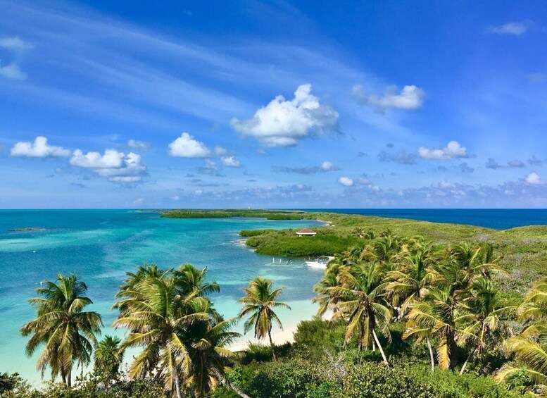 Picture 2 for Activity PARADISE ISLAND- ISLA CONTOY AND ISLA MUJERES 2