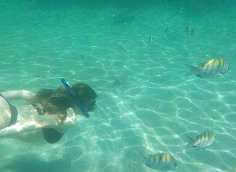 A person snorkeling with a blue snorkel and mask, surrounded by clear turquoise water and several small fish. 5