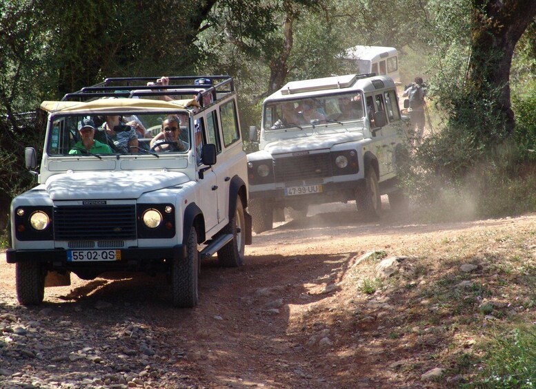 Two off-road vehicles on a dirt path surrounded by trees. 2