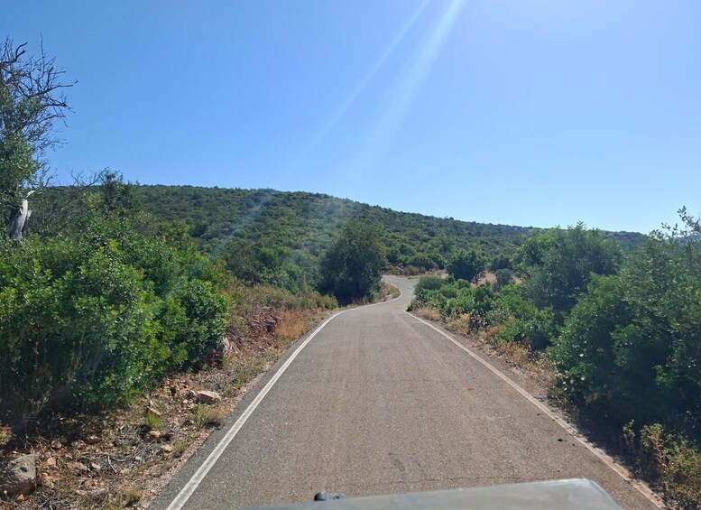 Picture 14 for Activity From Portimão: Algarve Jeep Safari with Tastings & Lunch 3