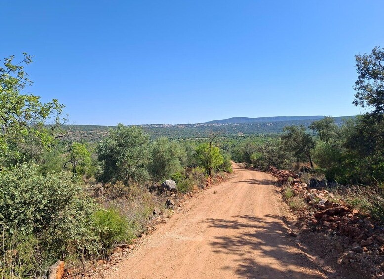 Picture 13 for Activity From Portimão: Algarve Jeep Safari with Tastings & Lunch 4