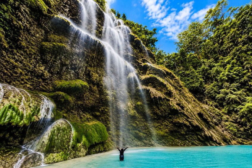 Picture 7 for Activity Cebu: Whale Sharks, Inambakan Falls & Moalboal Sardines 3