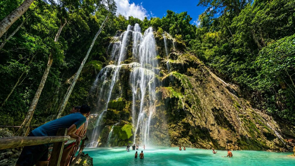 Picture 5 for Activity Cebu: Whale Sharks, Inambakan Falls & Moalboal Sardines 5