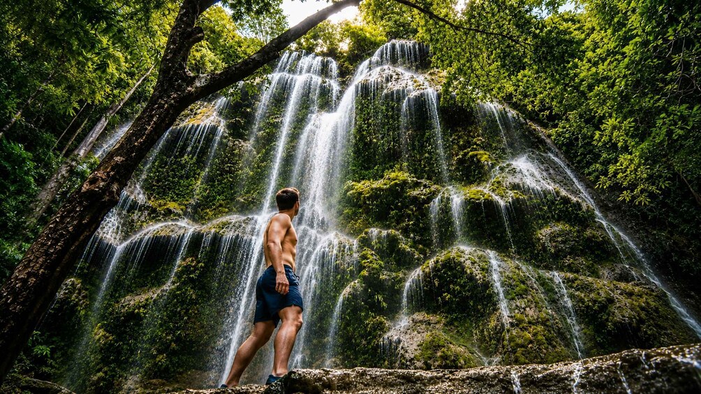 Picture 1 for Activity Cebu: Whale Sharks, Inambakan Falls & Moalboal Sardines 2