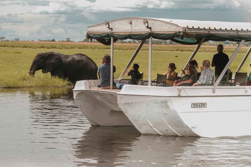 Chobe National Park With lunch: From Victoria Falls Zimbabwe 1