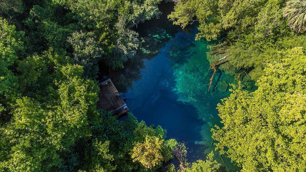 A river surrounded by dense forest. 4