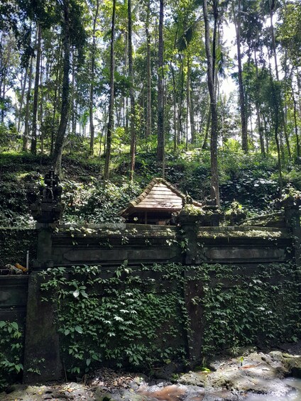Picture 3 for Activity Bali: Legung Luwih Tabanan Village Activities 3