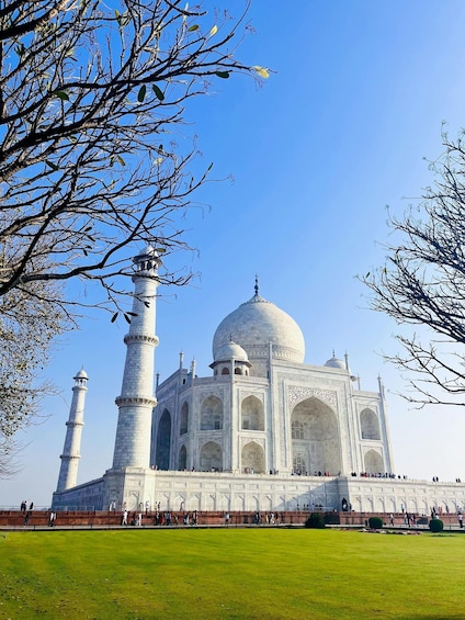The Taj Mahal with its four minarets and large central dome, surrounded by a green lawn and leafless trees. 1