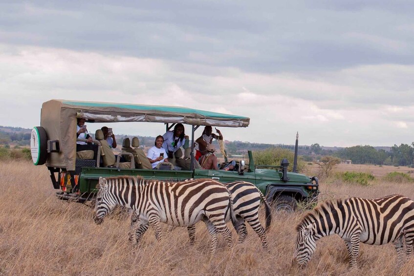 A safari vehicle with passengers observing zebras grazing in a field. 1