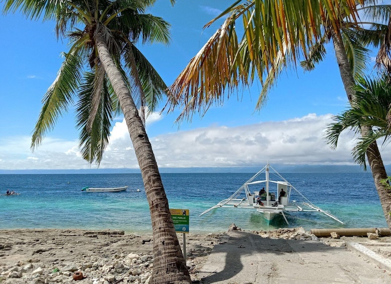 A beach with palm trees, a boat, and a sign indicating a public beach. 5