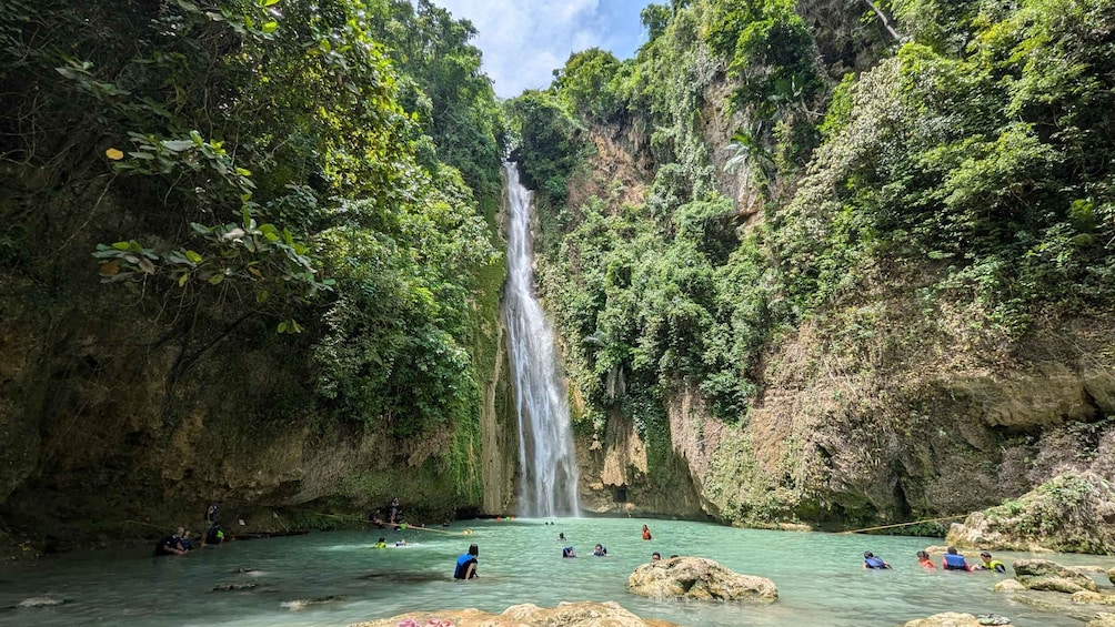A waterfall surrounded by lush greenery and a clear pool of water. 1