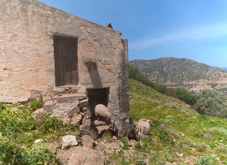 A stone building with a window and a door, surrounded by a rocky landscape and hills in the background. 4