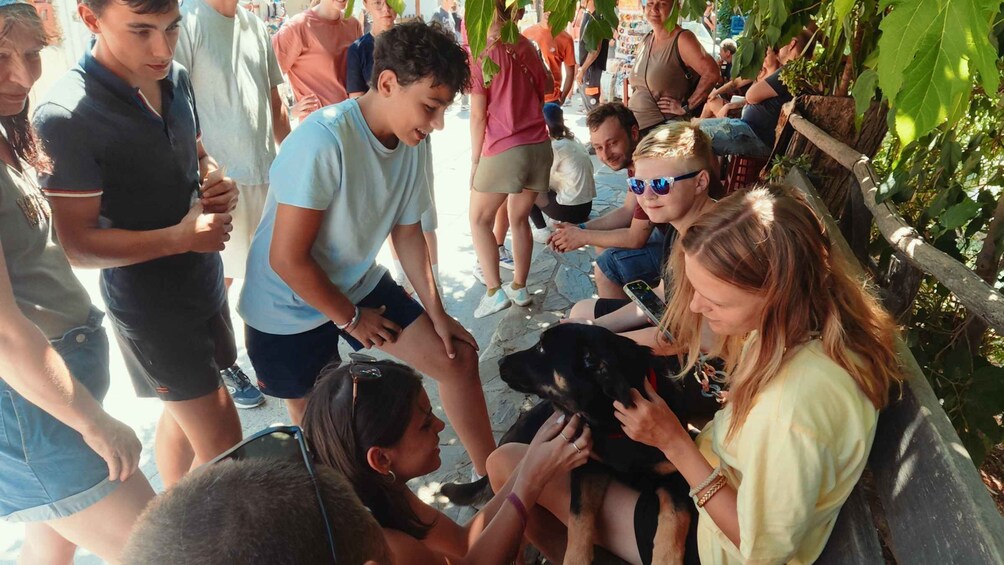 A group of people outdoors, some sitting on a bench and others standing, with a dog being held by a person. 2