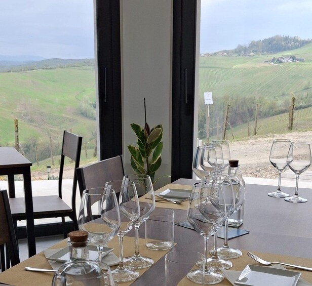 Picture 7 for Activity Oltrepò Pavese: Vineyard Walk and Wine Tasting 1 Hour from Milan 4