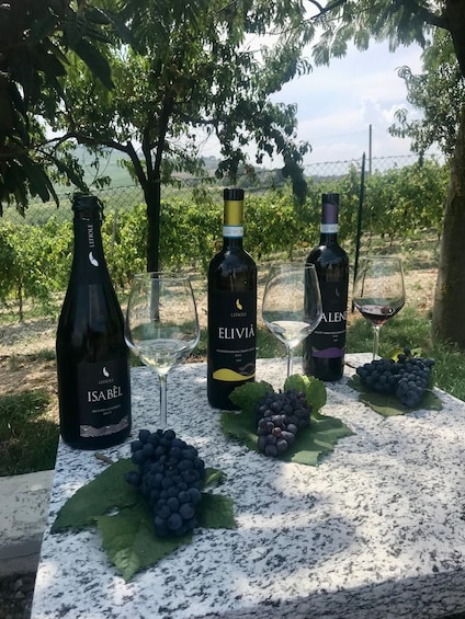 Three wine bottles and two wine glasses on a table with grapes and leaves. 3