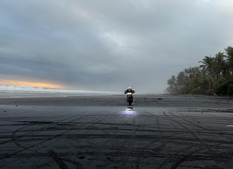 A motorcycle on a wet beach with palm trees in the background. 4