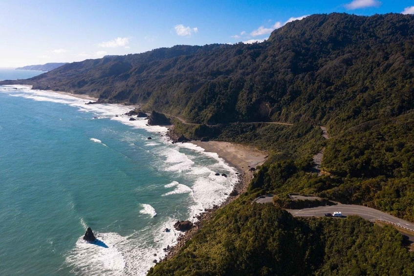 Picture 5 for Activity West Coast Discovery Piha Beach Private Tour 5