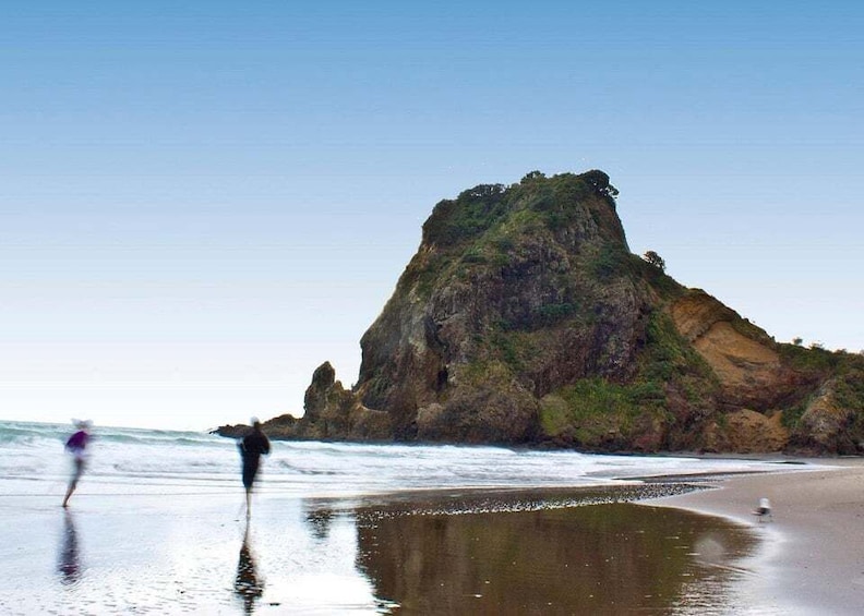 Picture 4 for Activity West Coast Discovery Piha Beach Private Tour 4