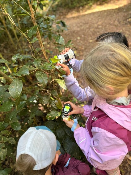 A person using a handheld device to inspect a plant. 2