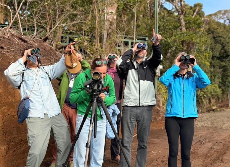 A group of people using binoculars and a camera on a tripod. 3