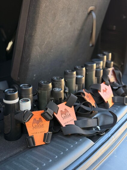 A collection of binoculars and nature tags in a vehicle's trunk. 4
