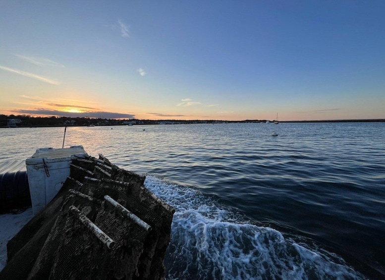 Picture 2 for Activity Plymouth: Oyster Farm Boat Tour with Tasting 4
