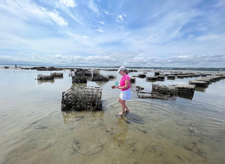 Plymouth: Oyster Farm Boat Tour with Tasting 1