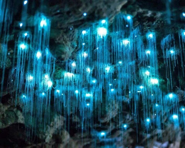 A cave with hanging icicles illuminated by blue lights. 4