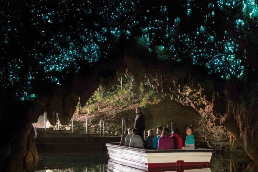 A boat tour inside a cave with bioluminescent organisms on the ceiling. 5