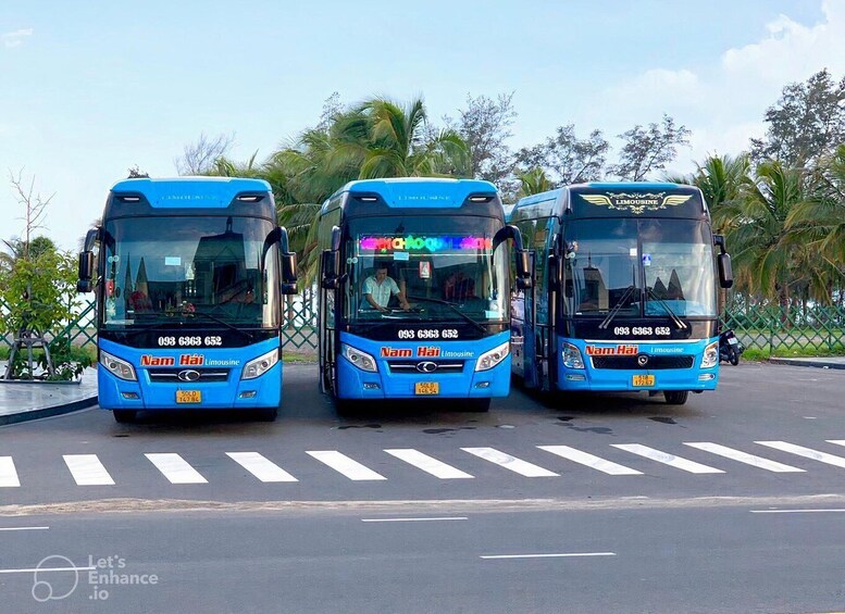 Three blue buses parked in a row with palm trees in the background. 5