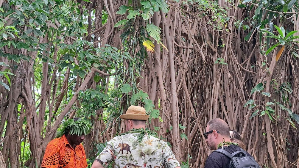 Picture 3 for Activity Tanna: Black Magic, Banyan Tree, and Volcano Tour with Lunch 3