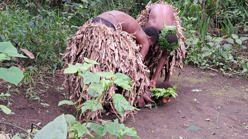 Picture 4 for Activity Tanna: Black Magic, Banyan Tree, and Volcano Tour with Lunch 2