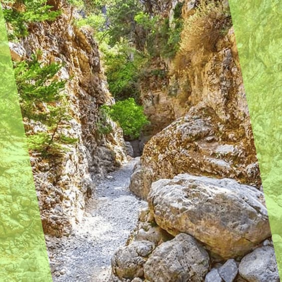 A narrow canyon path with rocky walls and sparse vegetation. 4