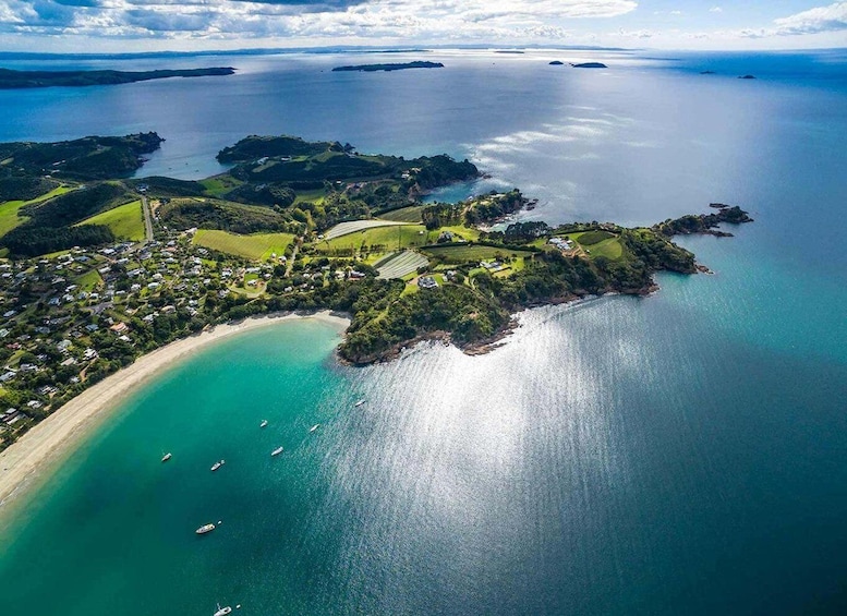 Picture 10 for Activity Auckland: Waiheke Island Luxury Experience Private Tour 3