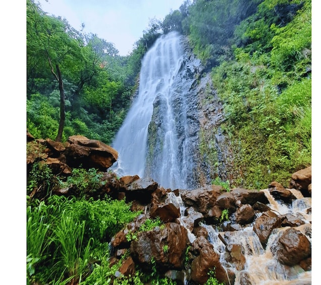 Picture 2 for Activity Tietê Trails in Pavuna Park, Botucatu, São Paulo 3