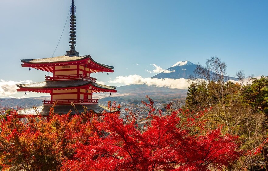 Picture 1 for Activity Mt Fuji Top 5 Spots Day Tour: Arakurayama Park,Oshino Hakkai 2