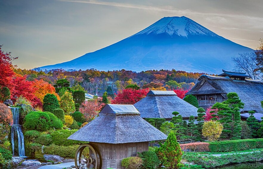 Picture 4 for Activity Mt Fuji Top 5 Spots Day Tour: Arakurayama Park,Oshino Hakkai 5