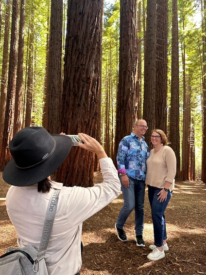 Melbourne: Yarra Valley Redwoods Tour with Wine or Wildlife 2