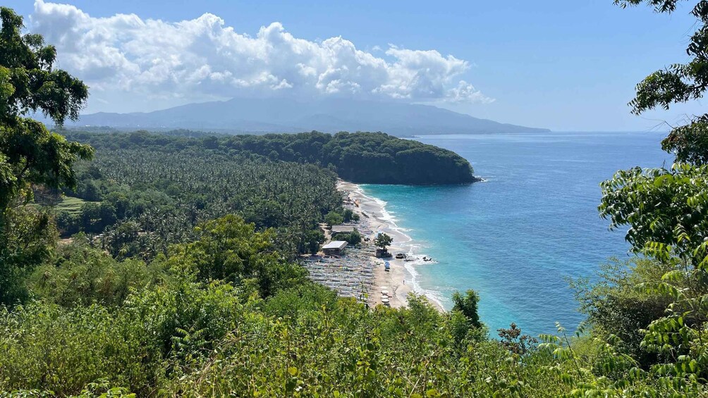A coastal landscape with a beach, dense greenery, and a mountain in the background. 2