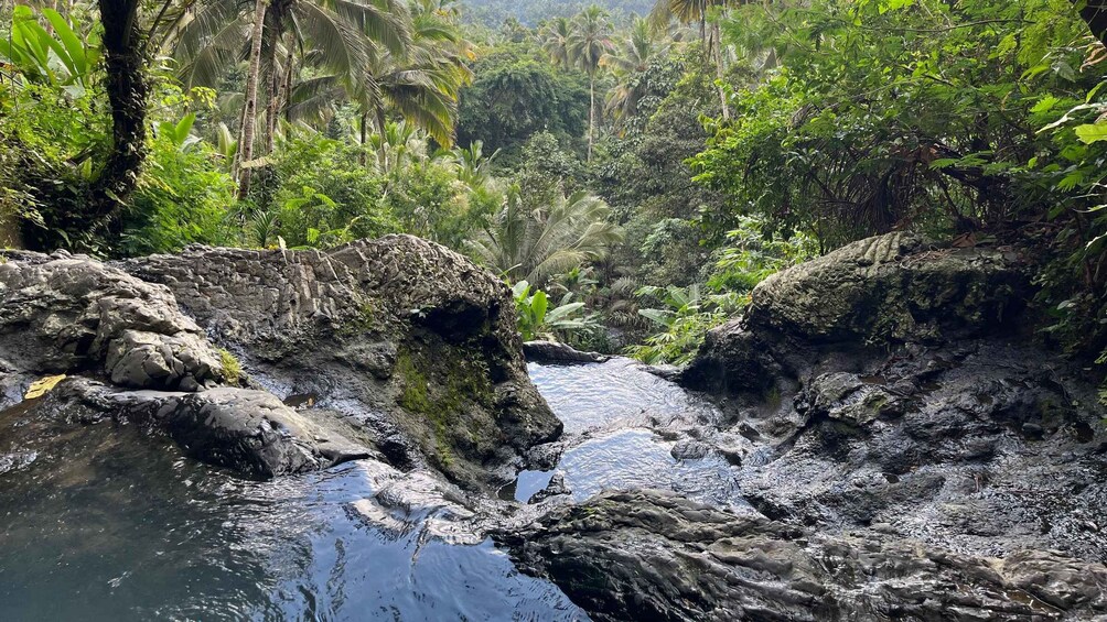 A rocky stream in a lush forest. 4