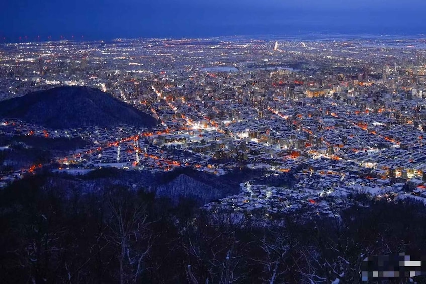 Picture 2 for Activity 3-Day Small-Group Tour: Sapporo, Asahikawa, Furano & Otaru 5