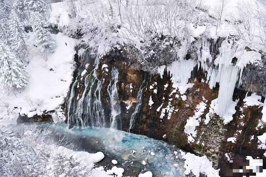 Picture 5 for Activity 3-Day Small-Group Tour: Sapporo, Asahikawa, Furano & Otaru 3